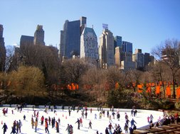 Engels leren in New York - Central Park in de winter