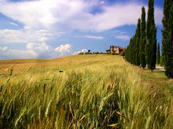 Italiaans leren in Florence - Toscane