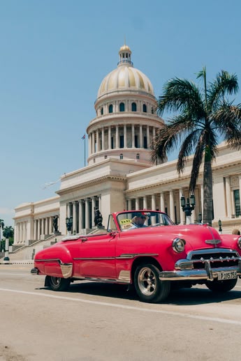 Klassieke roze auto rijdt langs El Capitolio in Havana, Cuba, met palmbomen en strakblauwe lucht.