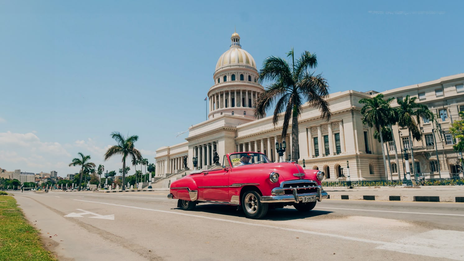 Klassieke roze auto rijdt langs El Capitolio in Havana, Cuba, met palmbomen en strakblauwe lucht.
