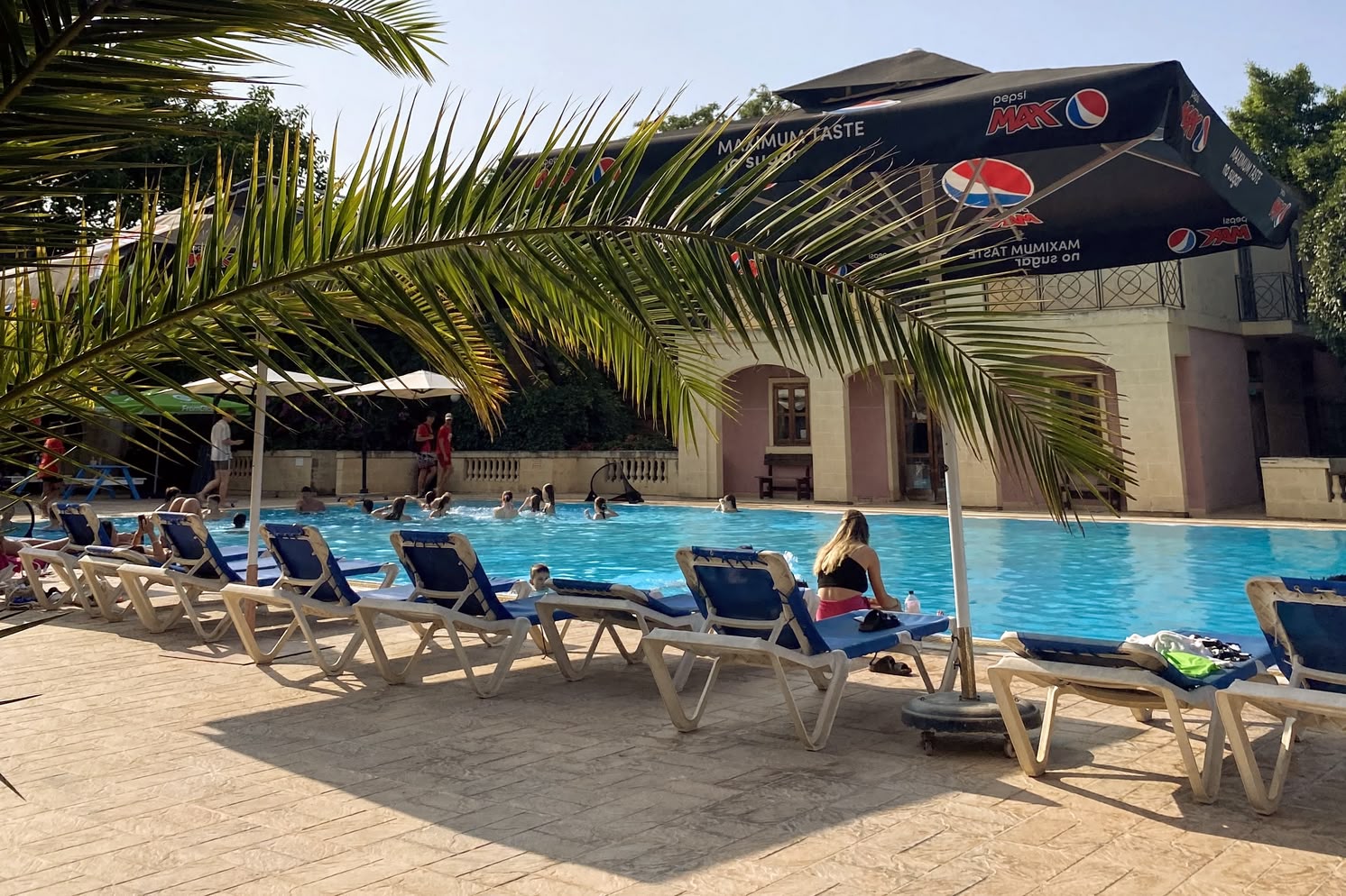 Zonnig zwembad bij Sprachcaffe Malta met loungende en zwemmende mensen, in de schaduw van palmbomen en parasols.