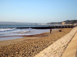 Jongerenreis Engels Bournemouth