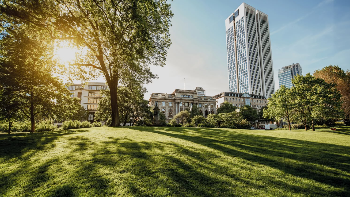 Zonnig park in Frankfurt, Duitsland, met moderne wolkenkrabbers en groene open ruimte op de voorgrond.
