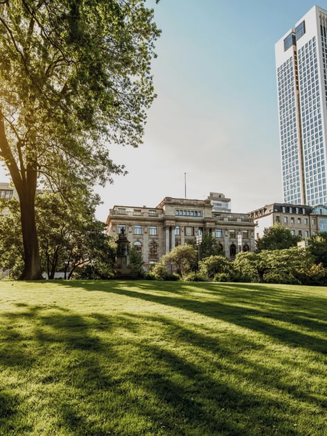 Zonnig park in Frankfurt, Duitsland, met moderne wolkenkrabbers en groene open ruimte op de voorgrond.