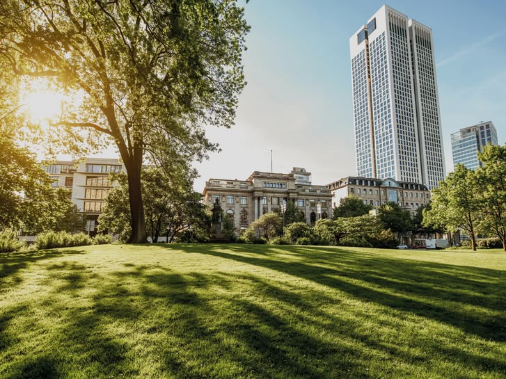 Zonnig park in Frankfurt, Duitsland, met moderne wolkenkrabbers en groene open ruimte op de voorgrond.