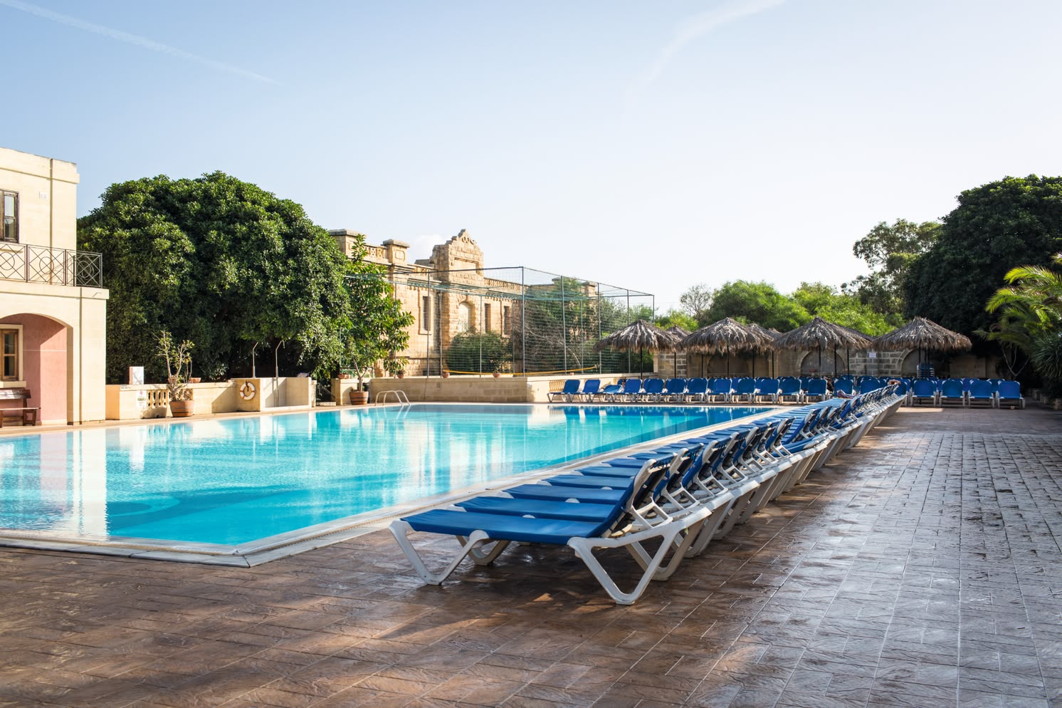 Ruim zwembadgedeelte bij Sprachcaffe Malta met rijen blauwe ligstoelen, palmbomen en historische gebouwen op de achtergrond.